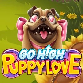 Go High Puppy Love – slot by RubyPlay, featured at duffspincasino.eu