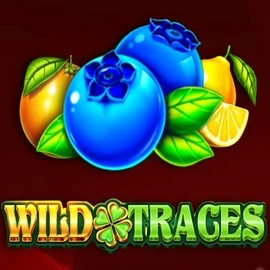 Wild Traces slot logo by Amusnet Interactive at Duffspin Casino