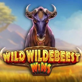 Wild Wildebeest Wins slot visual from Pragmatic Play available on duffspincasino.eu